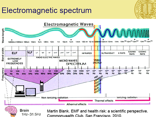 EMF Graph